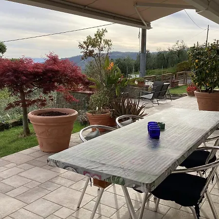 Apartamento L'uliveta