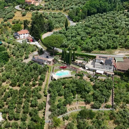 Apartamento L'uliveta *